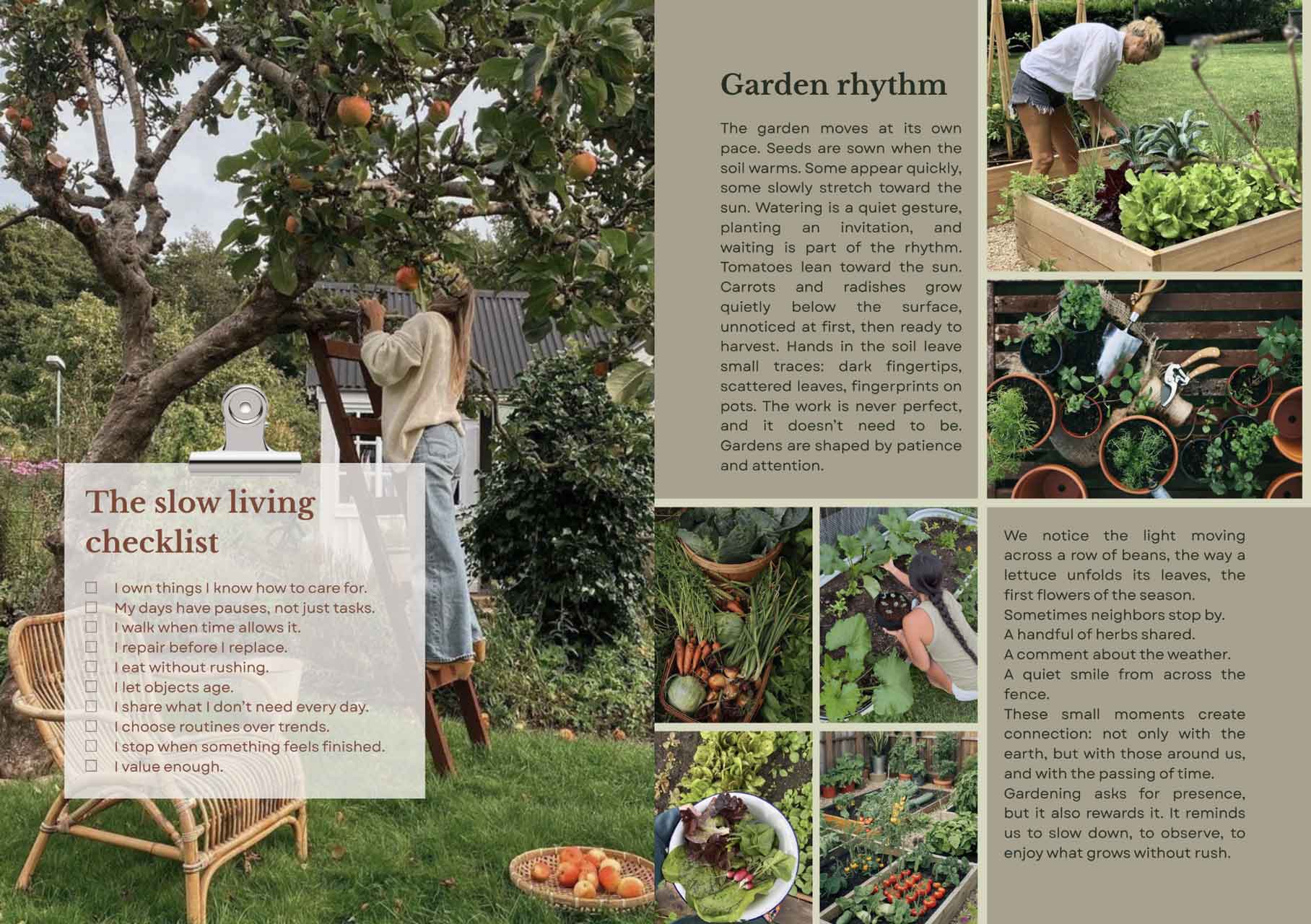 Magazin Innenseite: Beitrag mit Bildern zum Thema Garten, Frau auf Leiter